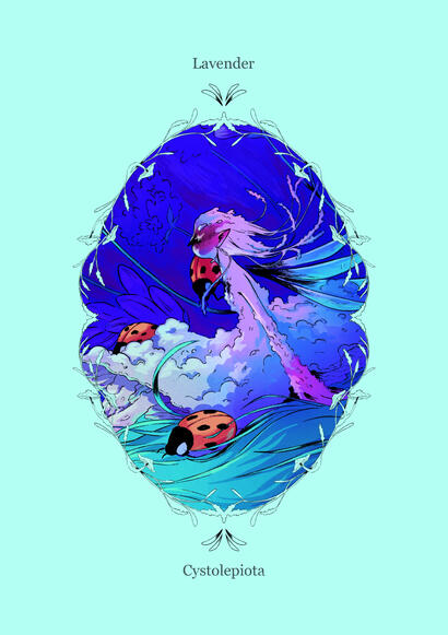 Illustration - Feybruary